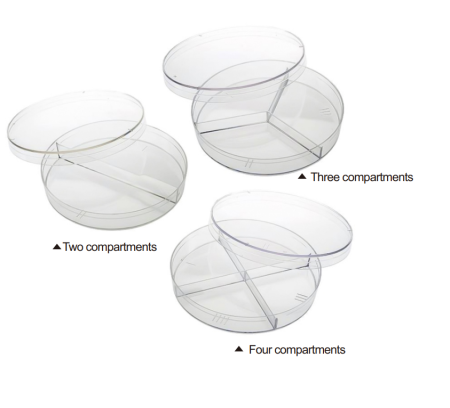Petri dish division